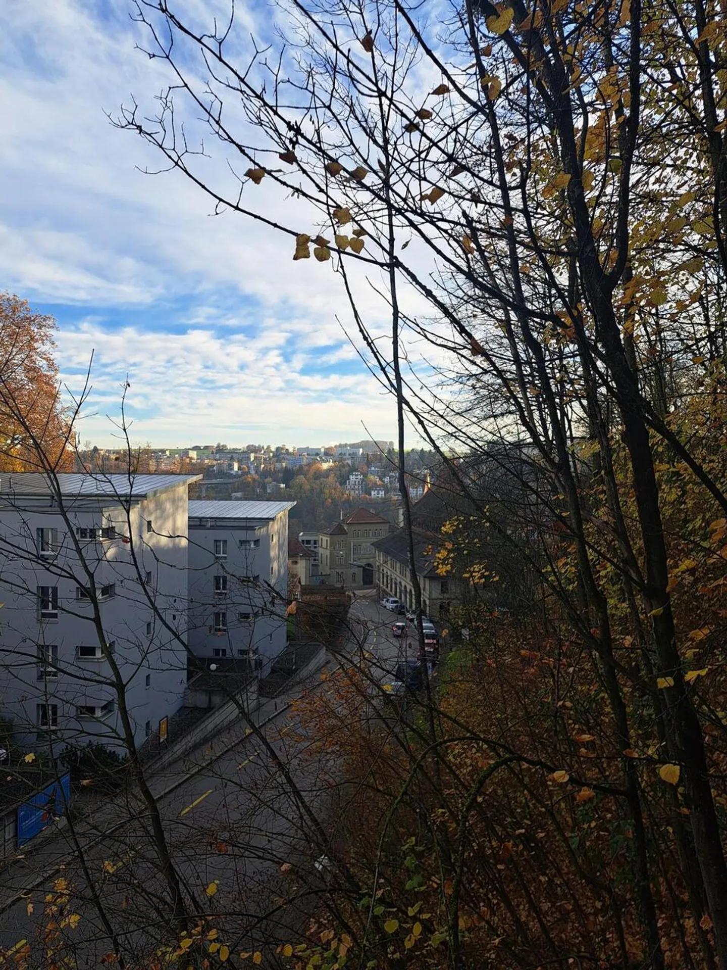 Fribourg - Studio - Photo 6 of 7