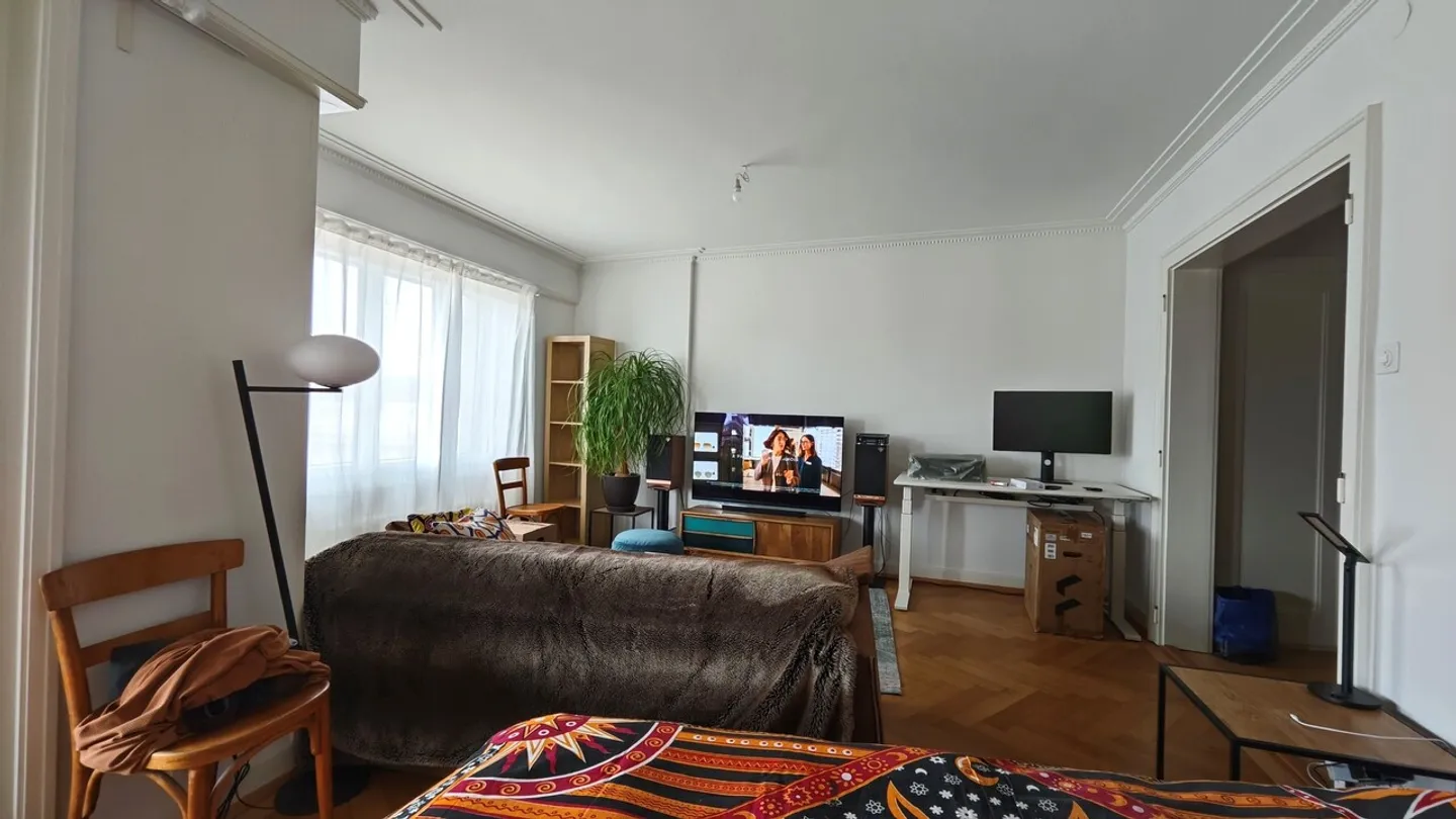 1.5 Room Apartment - Photo 4 of 10