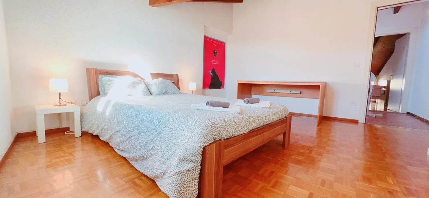 Magnifique maison individuelle avec 5,5 pièces au cœur de Cadro - Photo 7 sur 12