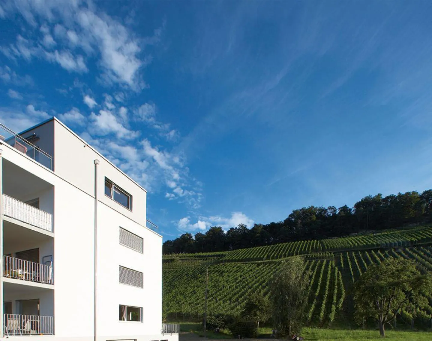 Dreamlike Living in the Vineyards! - Photo 18 of 19