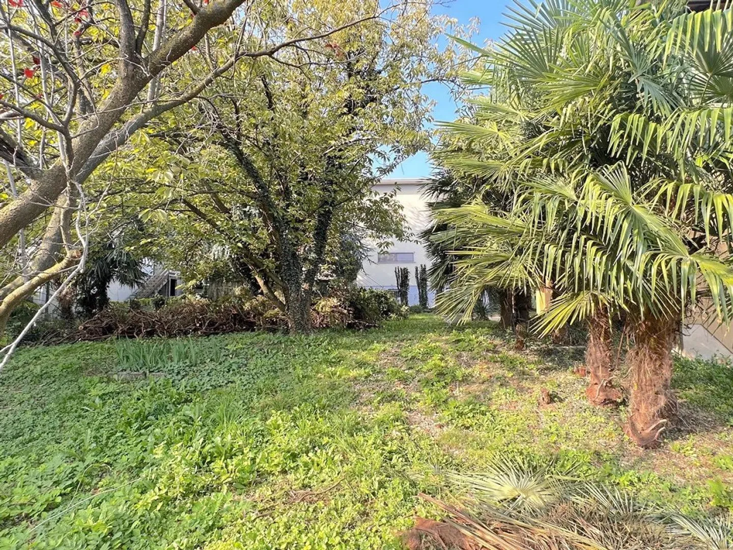 Interesting single-family house with large garden - Photo 1 of 11