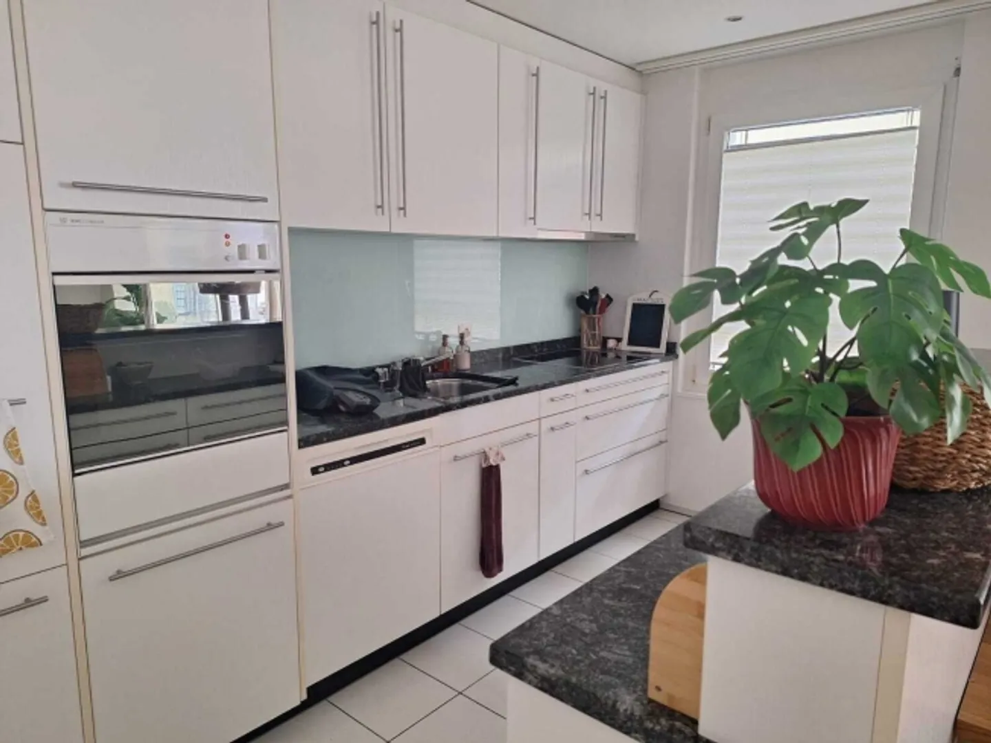 3½ STANZA APPARTAMENTO A LUCERNA, ARREDATO, TEMPORANEO - Foto 2 di 10