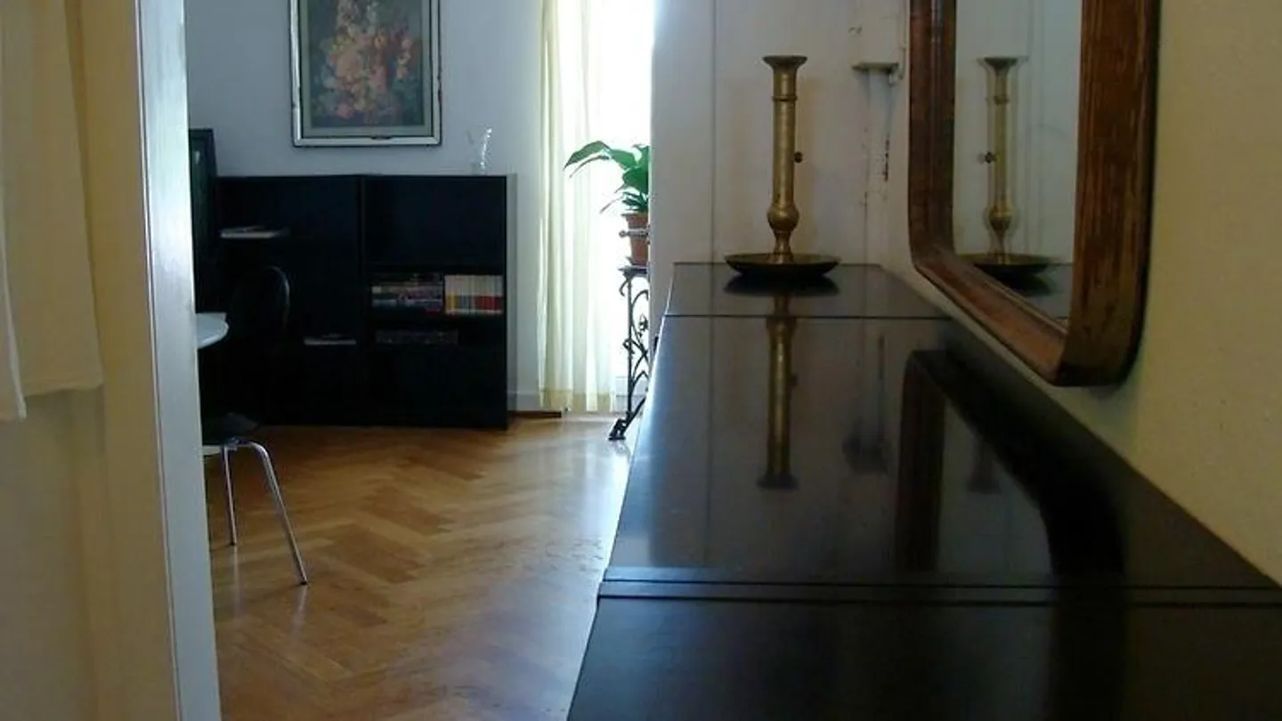 APPARTAMENTO 1½ STANZA A BASEL - BACHLETTEN/GOTTHELF, ARREDATO, TEMPORANEO - Foto 2 di 10