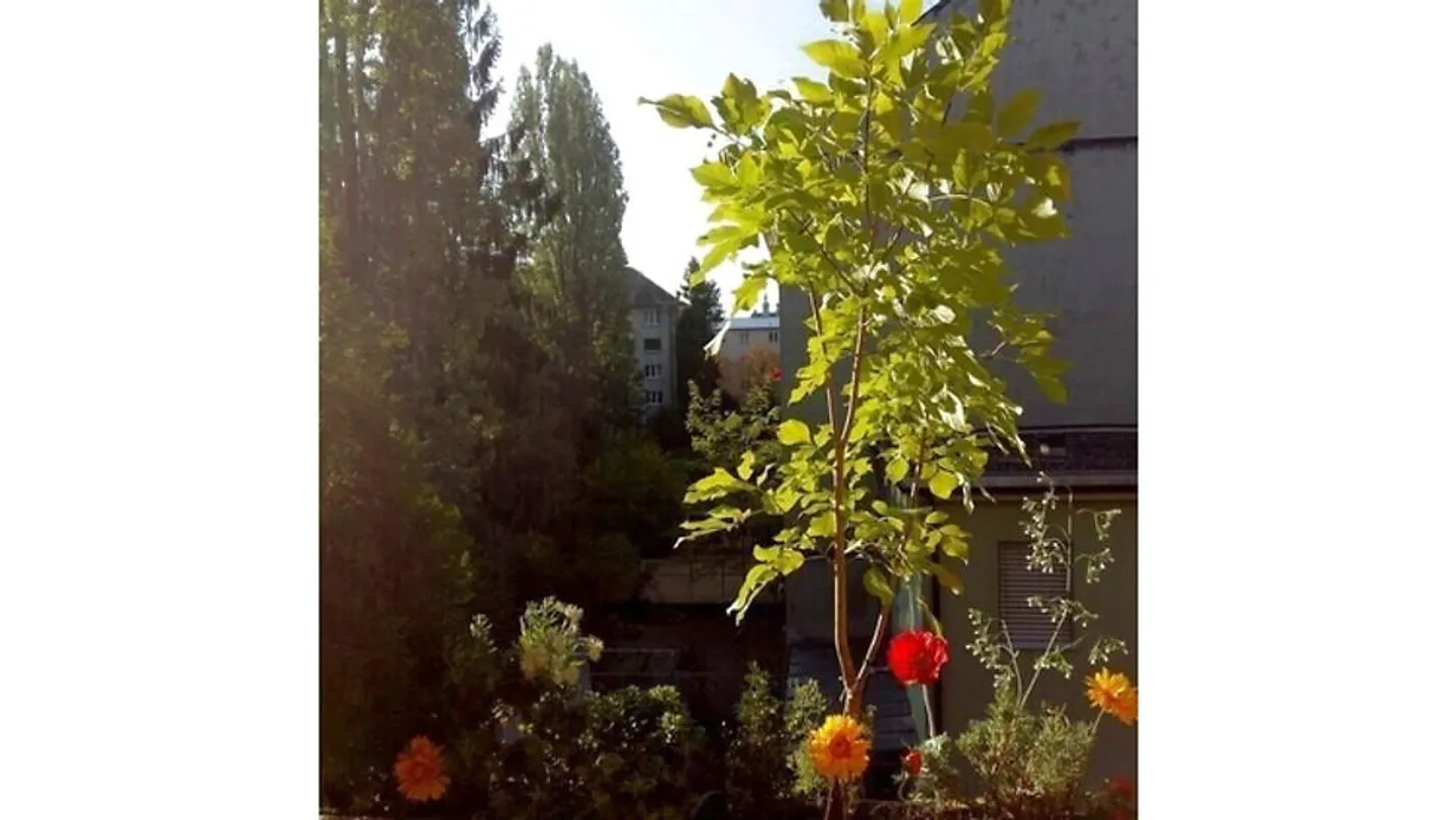 APPARTAMENTO 1½ STANZA A BASEL - BACHLETTEN/GOTTHELF, ARREDATO, TEMPORANEO - Foto 8 di 10