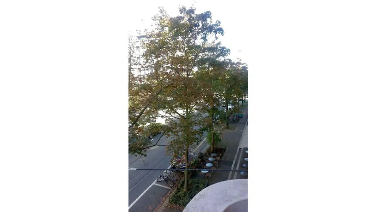 APPARTAMENTO 1½ STANZA A BASEL - BACHLETTEN/GOTTHELF, ARREDATO, TEMPORANEO - Foto 9 di 10