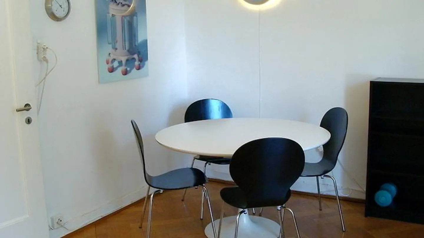 APPARTAMENTO 1½ STANZA A BASEL - BACHLETTEN/GOTTHELF, ARREDATO, TEMPORANEO - Foto 10 di 10