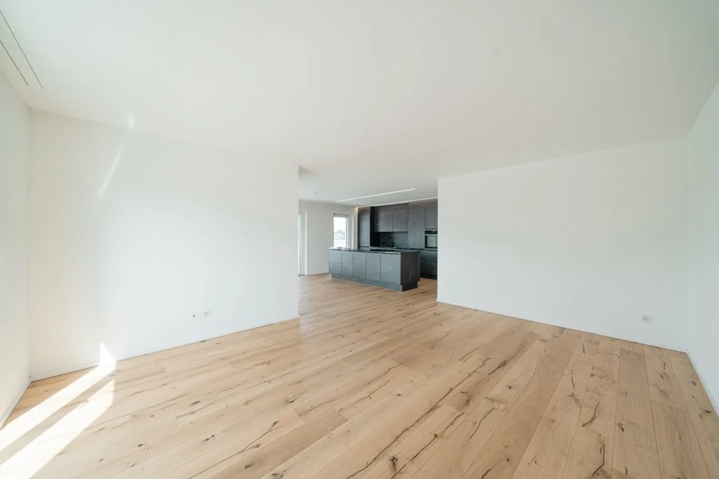 Modern 4.5-Room Attic Apartment - Photo 7 of 10