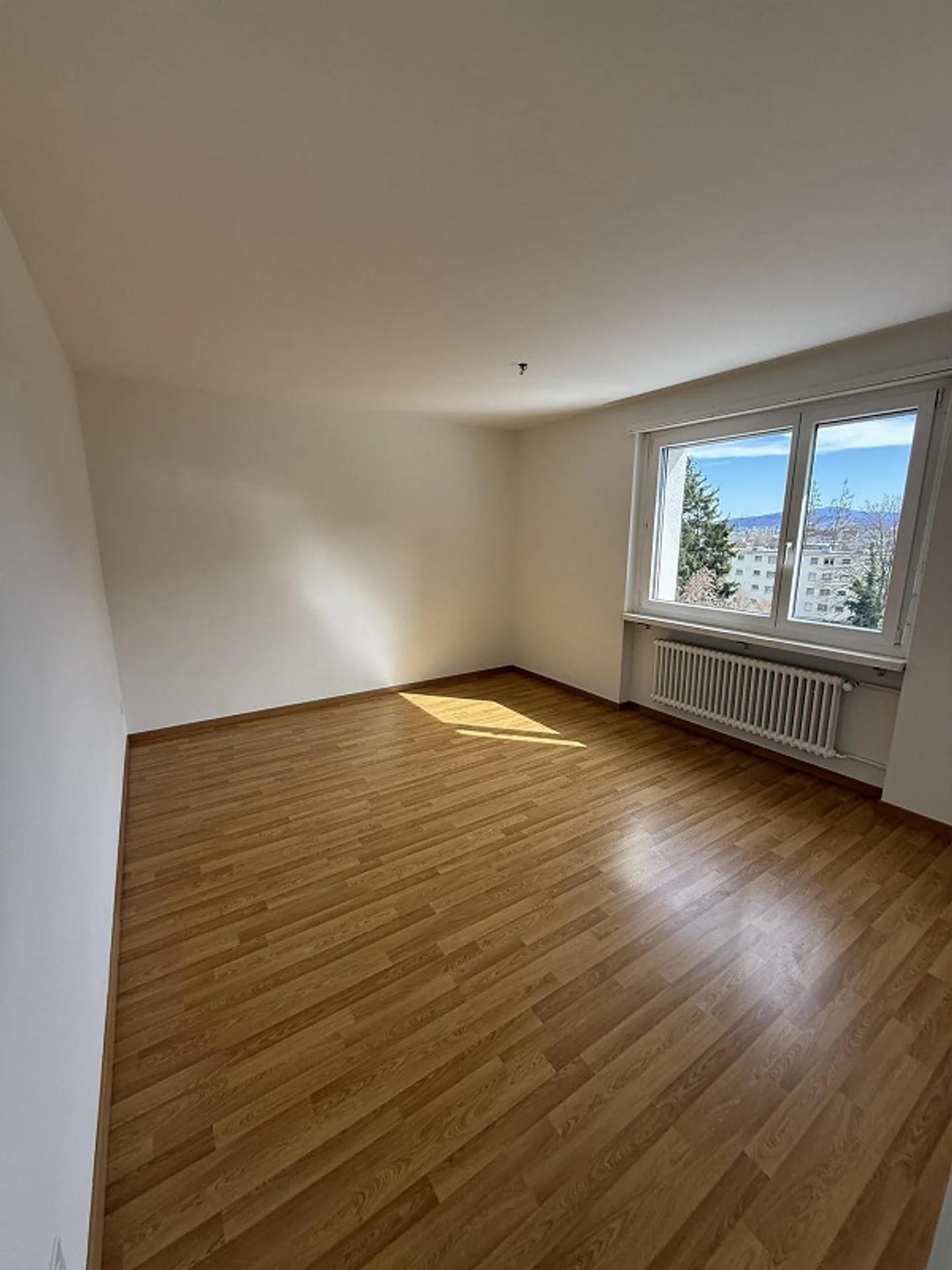 Between Baden and Zurich - Photo 4 of 5