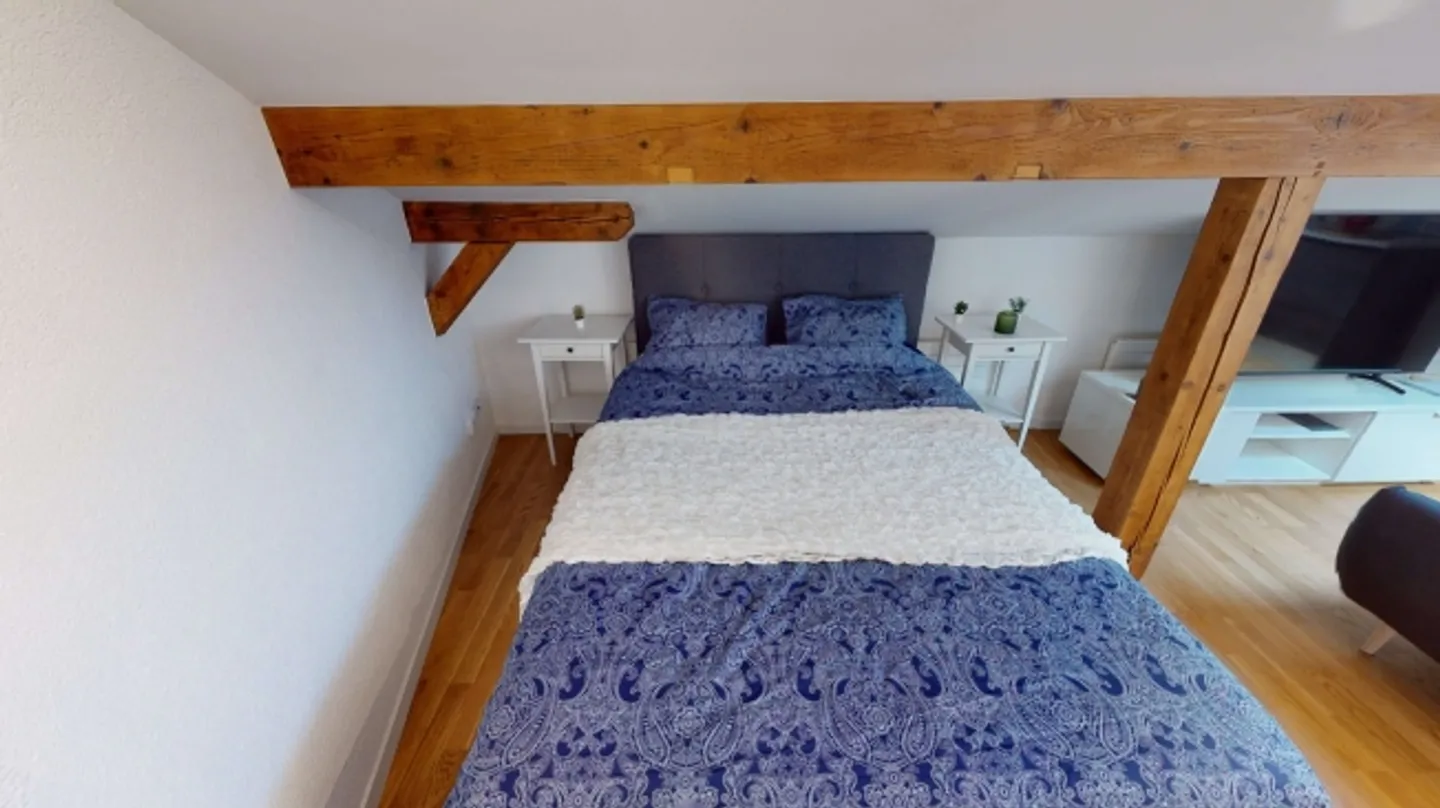 Studio arredato con Internet - Foto 8 di 11