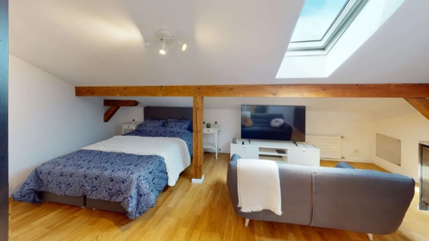 Studio arredato con Internet - Foto 10 di 11