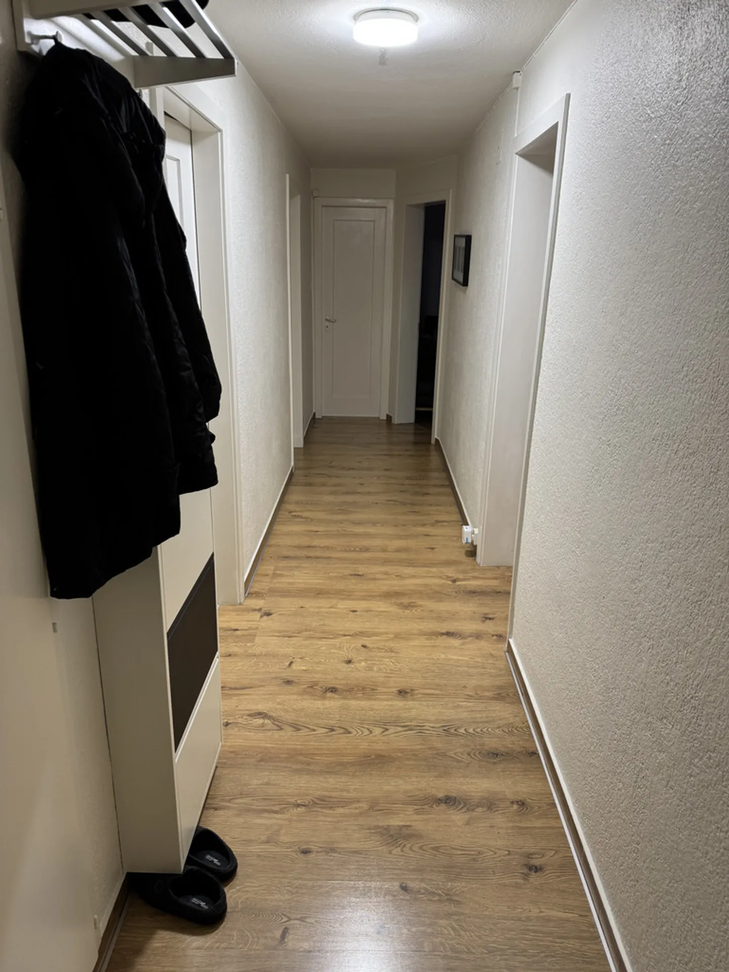 Charming 4-room apartment on the raised ground floor with a view of the Pilatus - Photo 3 of 9