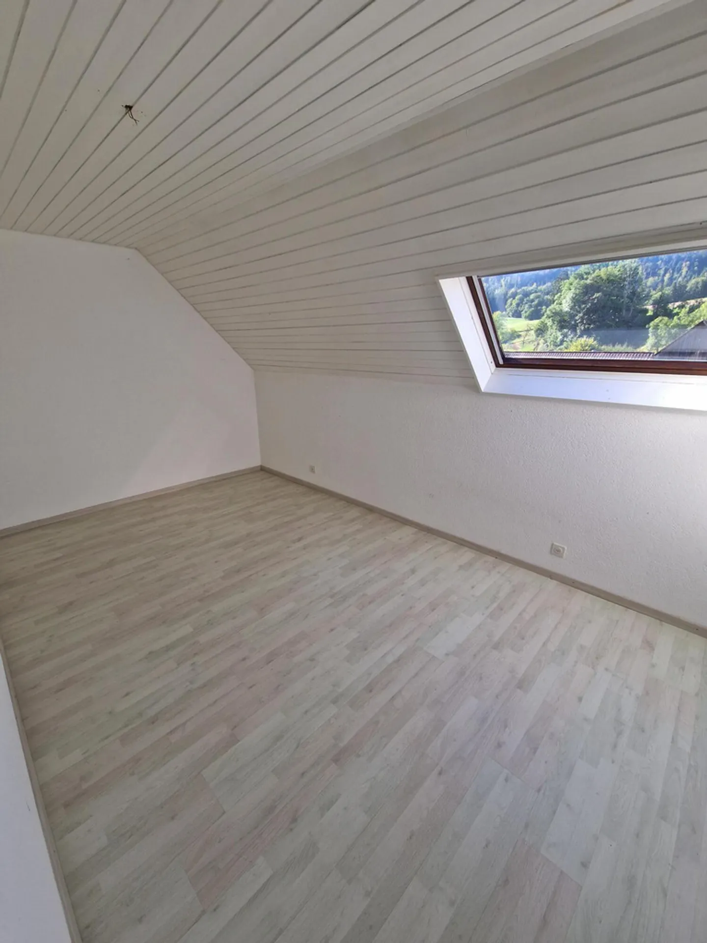 Renovated Apartment with Mountain View - Photo 8 of 12