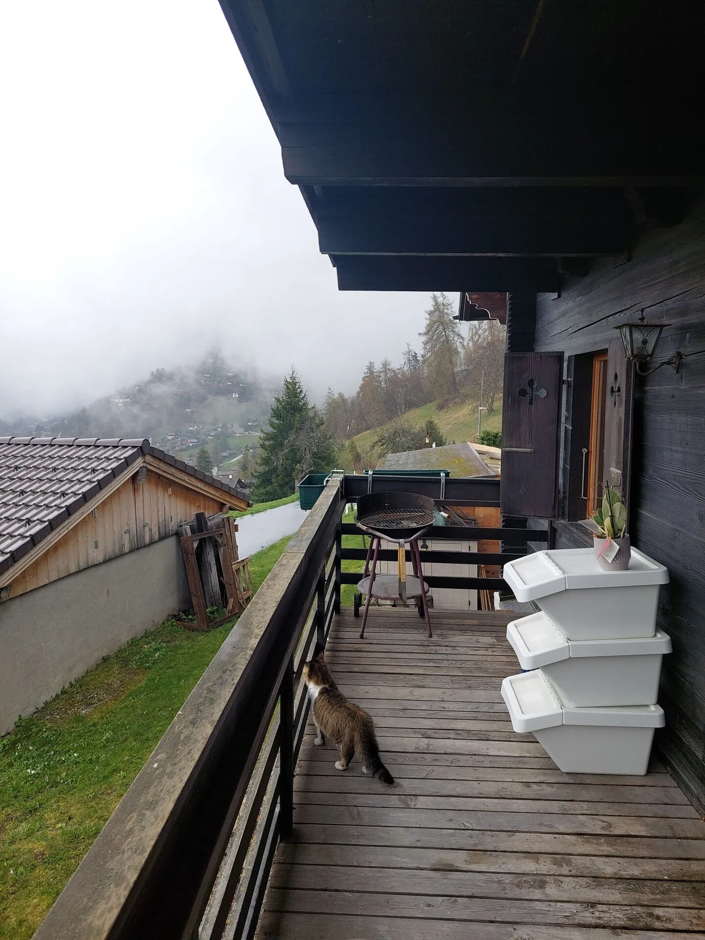 Charmante und geräumige 3,5-Zimmer-Wohnung - Foto 11 von 13