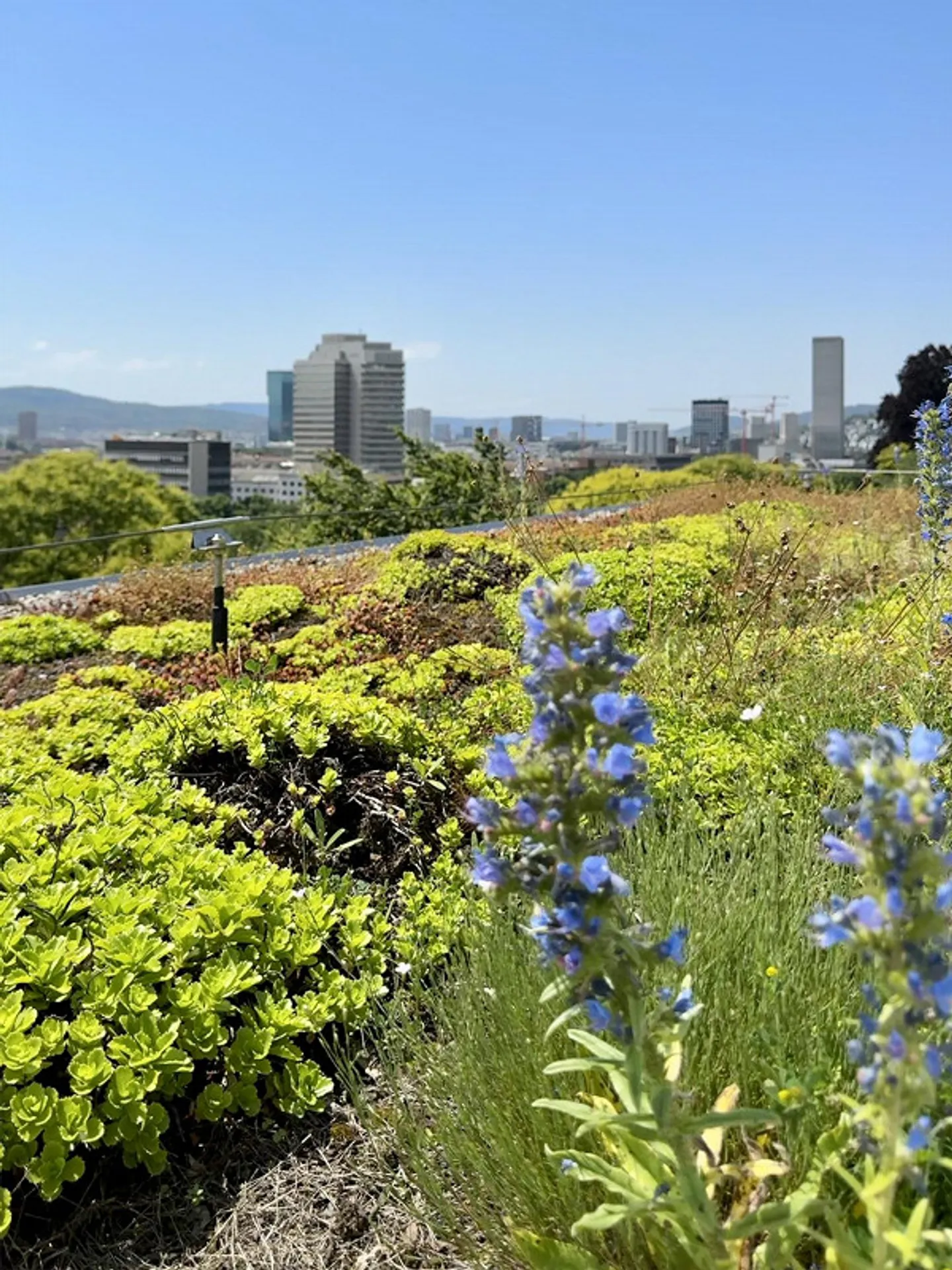 Appartement penthouse de luxe avec vue imprenable - Photo 15 sur 16