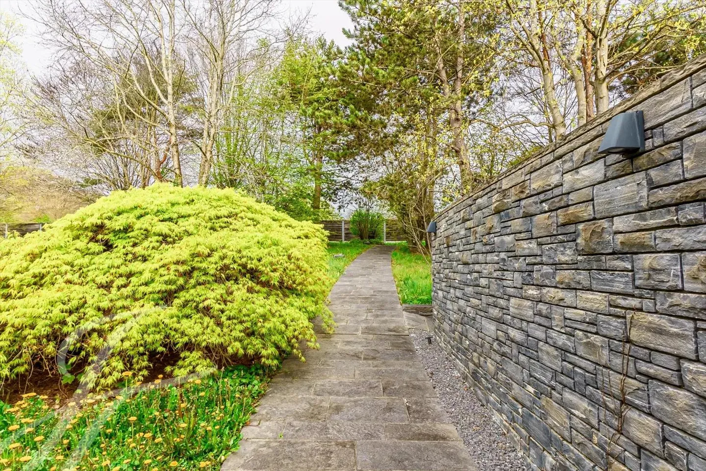 Wasserfront-Villa mit 7'585m2 Grundstück - Foto 11 von 11