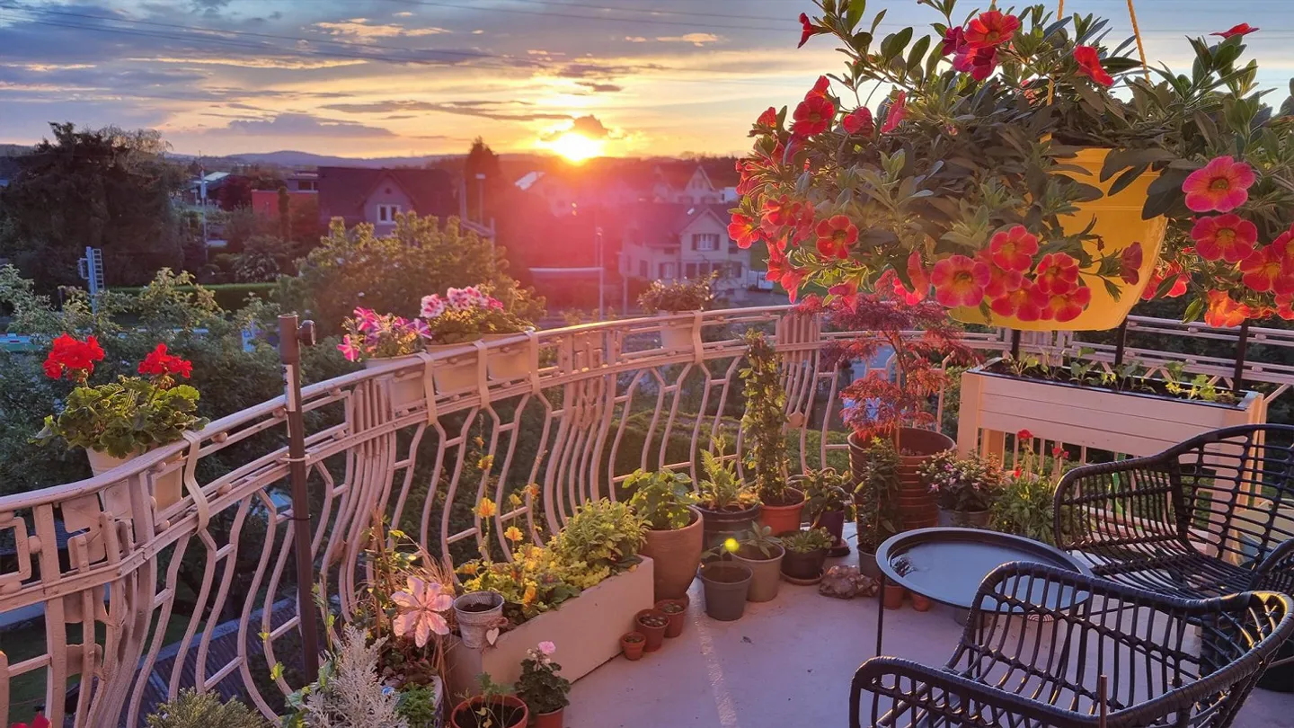 Appartement 3.5 pièces avec vue sur le Säntis et soleil du soir – Prise en charge 01.04.26 - Photo 4 sur 15