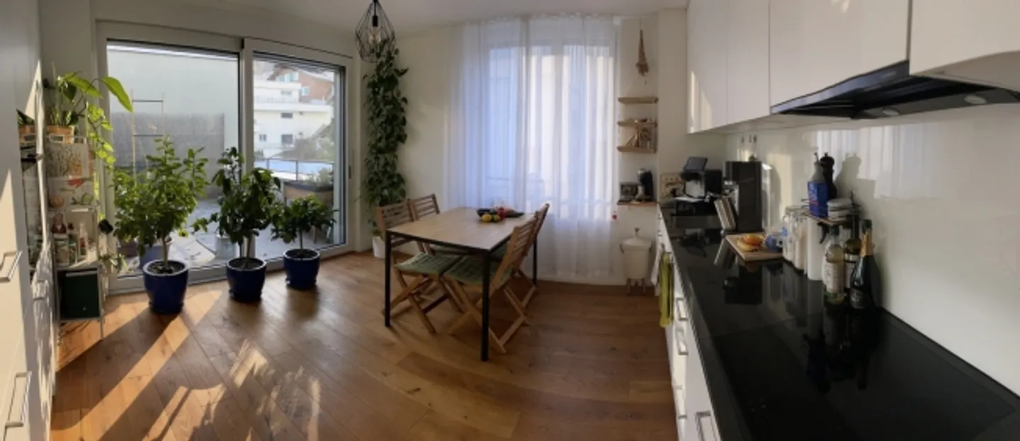 APPARTEMENT PENTHOUSE 3½ PIÈCES À KRIENS (LU), MEUBLÉ, TEMPORAIRE - Photo 3 sur 10