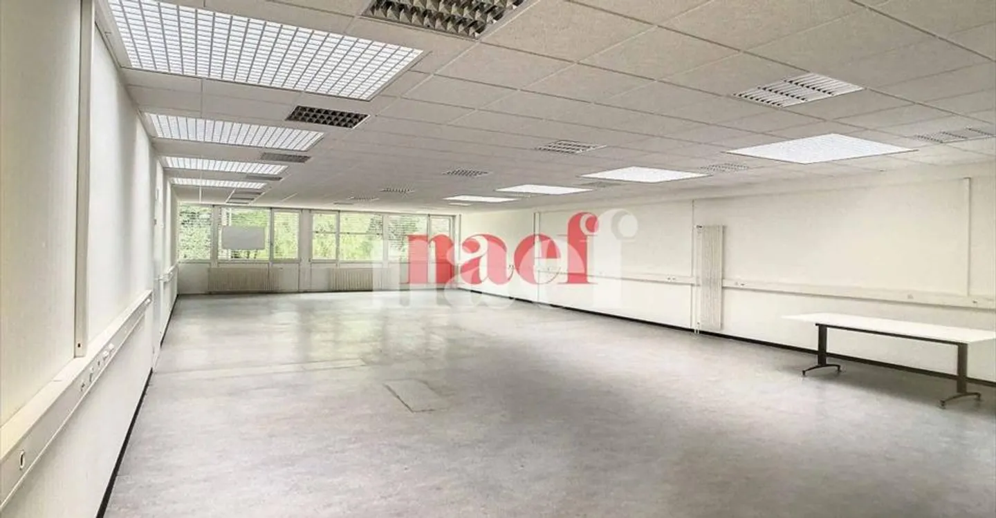 Mixed-use building for rent - Photo 3 of 6