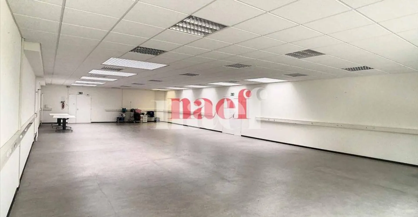 Mixed-use building for rent - Photo 4 of 6