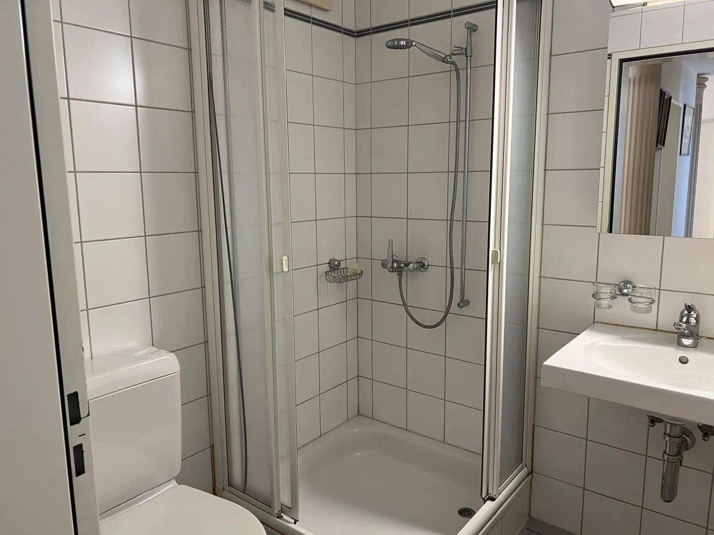 4½ ROOM APARTMENT IN ZURICH - DISTRICT 8, FURNISHED, TEMPORARY - Photo 6 of 10