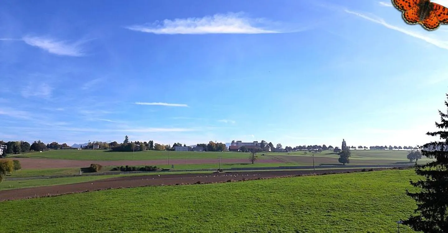 Helle 3½-Zimmer-Wohnung mit Balkon - Foto 1 von 7