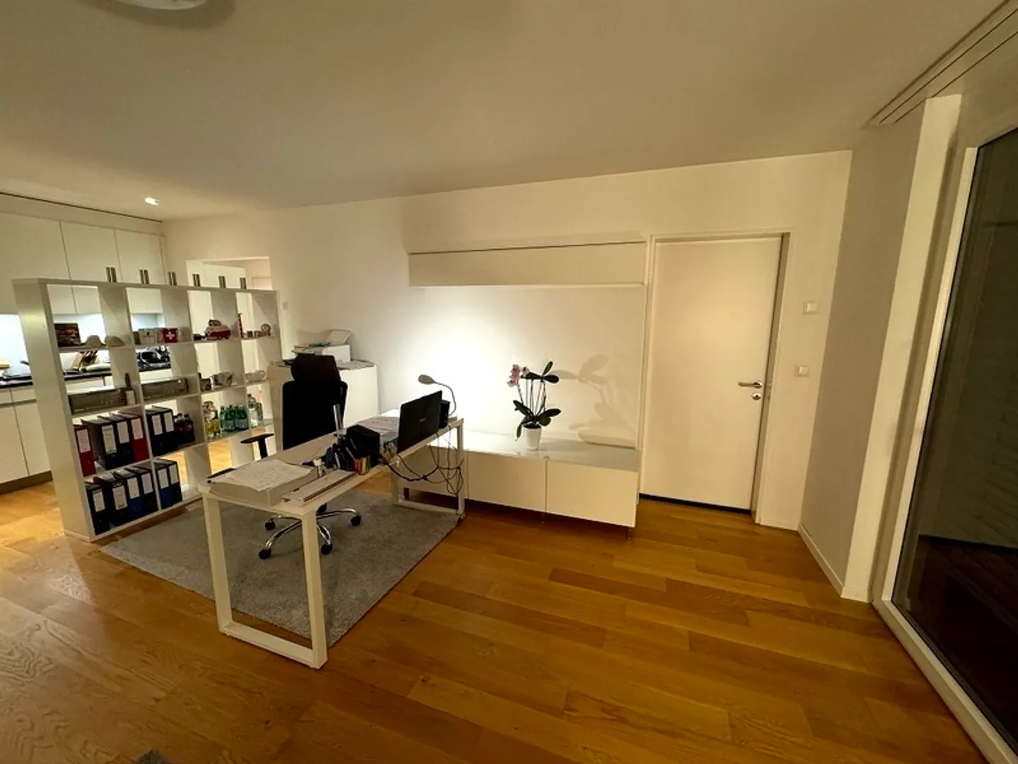 Furnished 2.5 Room Apartment - Photo 2 of 9