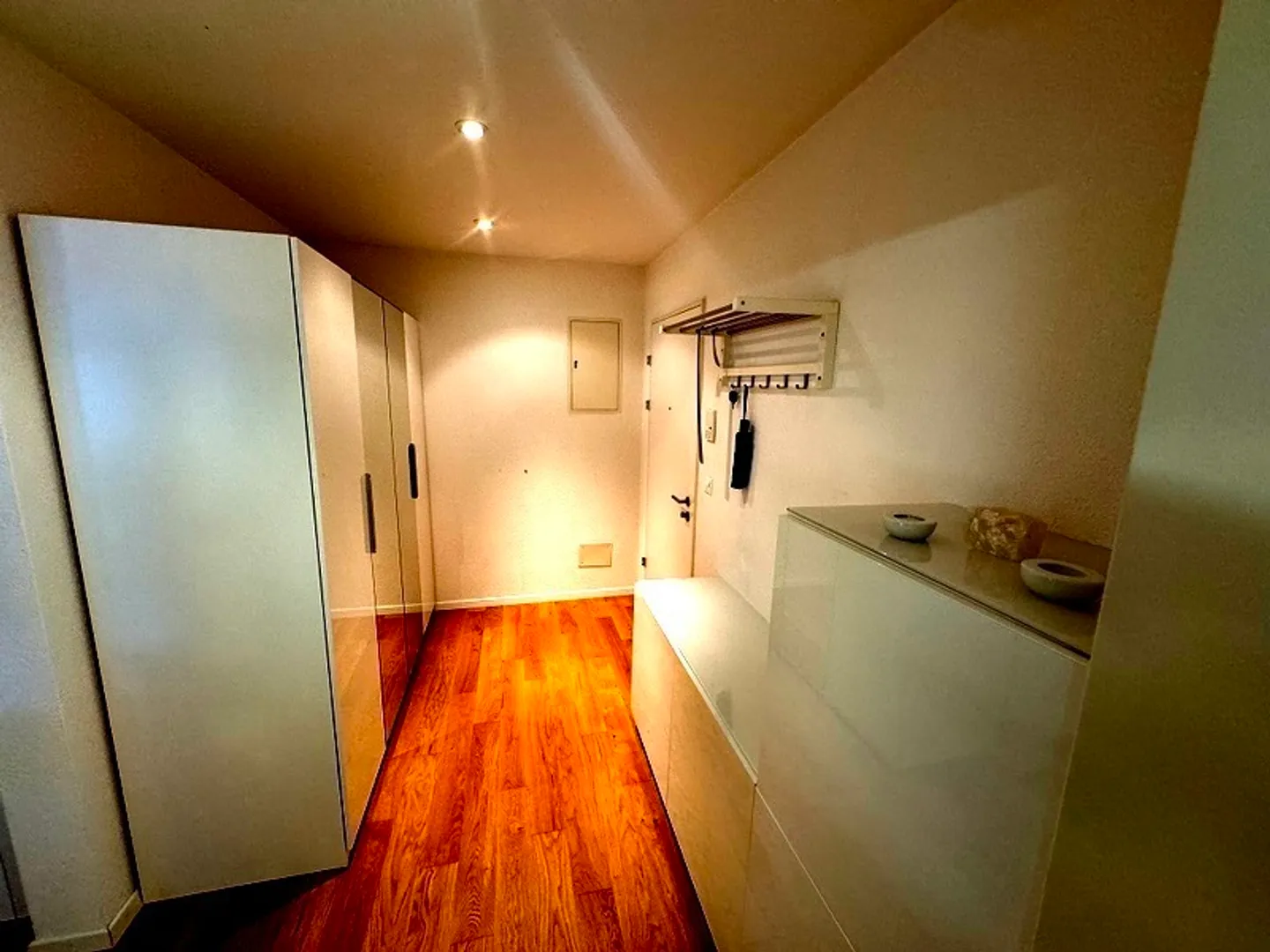 Furnished 2.5 Room Apartment - Photo 3 of 9