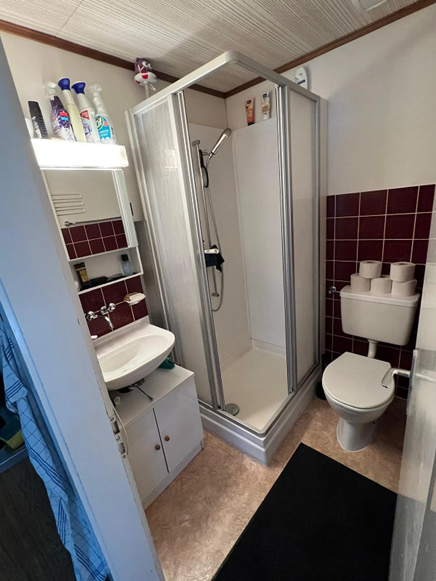 Charmante Wohnung mit Balkonen - Foto 6 von 9