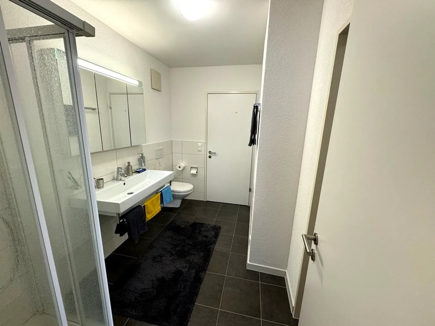 Furnished 2.5 Room Apartment - Photo 7 of 9