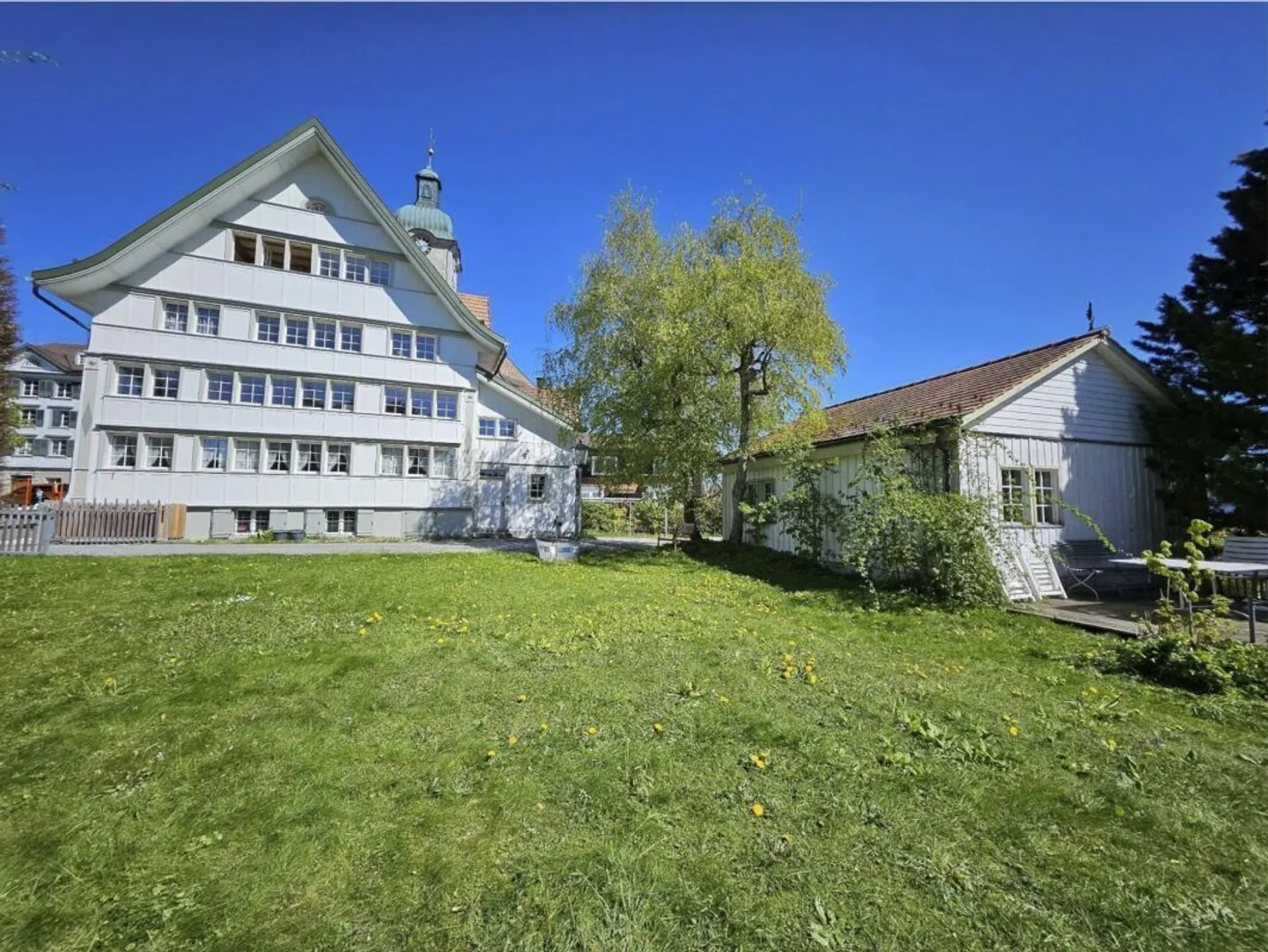 Charming Appenzeller MFH for sale. - Photo 1 of 7