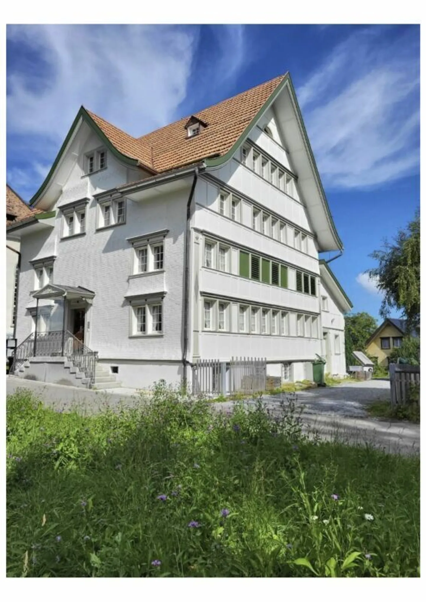 Charming Appenzeller MFH for sale. - Photo 2 of 7