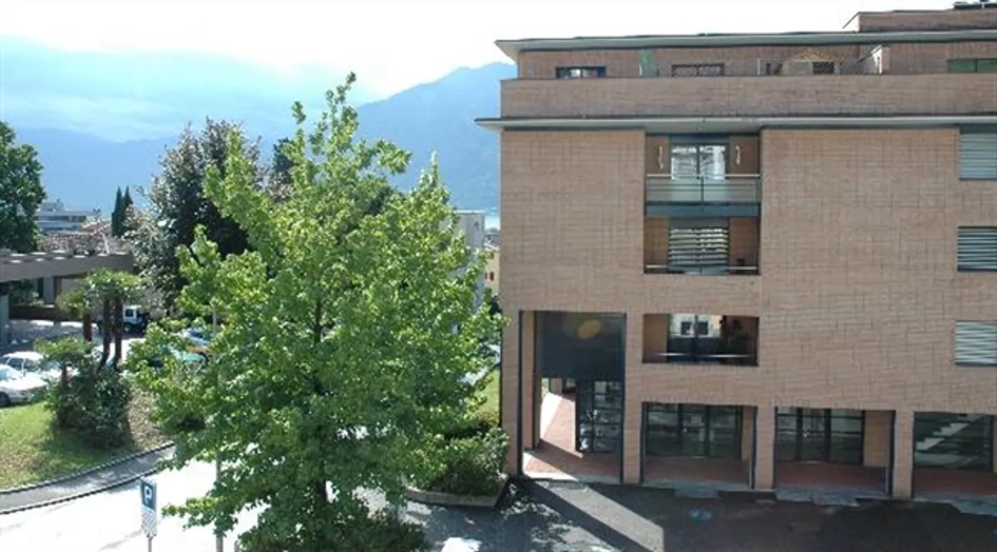 6 1/2- & 4 1/2-Room Loft Apartments or Offices - Photo 2 of 15