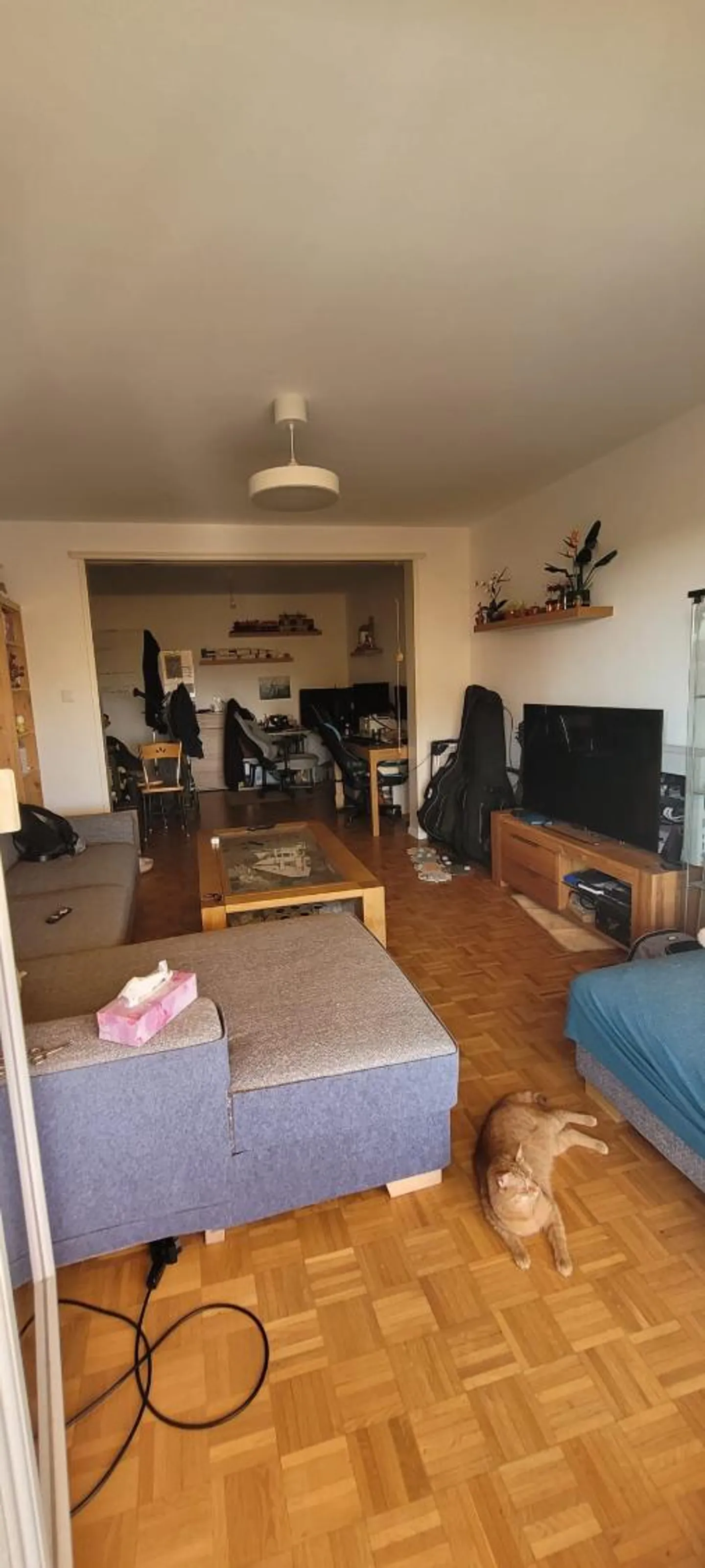 Appartement 2.5 pièces - Photo 2 sur 4
