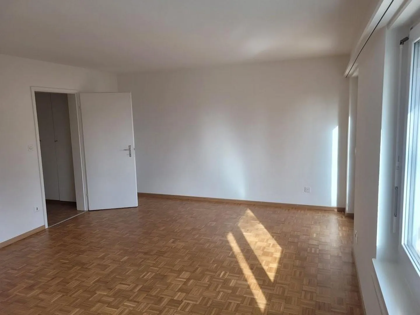 Bright 1-room apartment near Zurich for rent - Photo 5 of 7