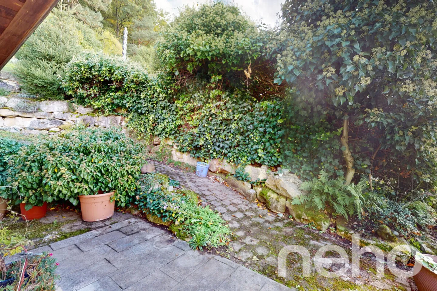 Proprietà da sogno con vista libera e appartamento separato - Foto 5 di 13