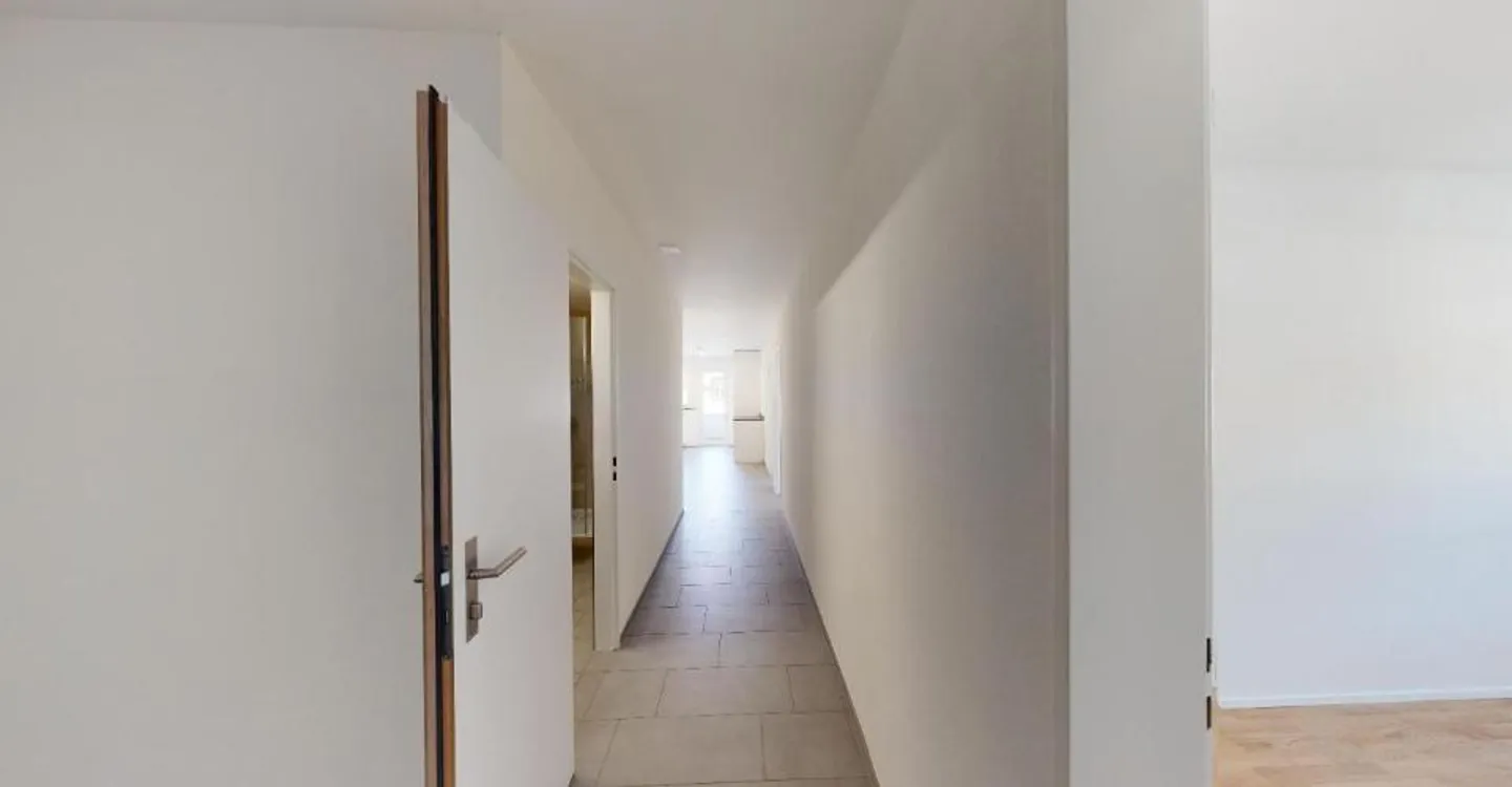 Spacious Apartment in the Center of Chur - Photo 7 of 8
