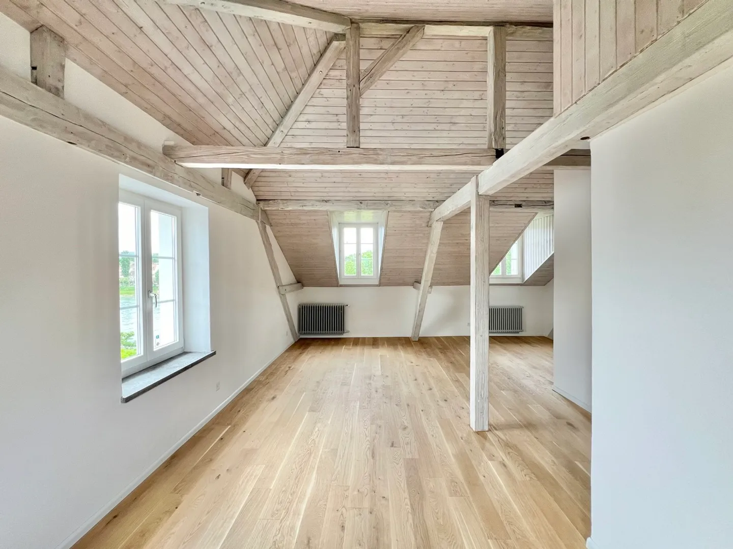 Basel city villa directly on the Rhine! - Photo 7 of 7
