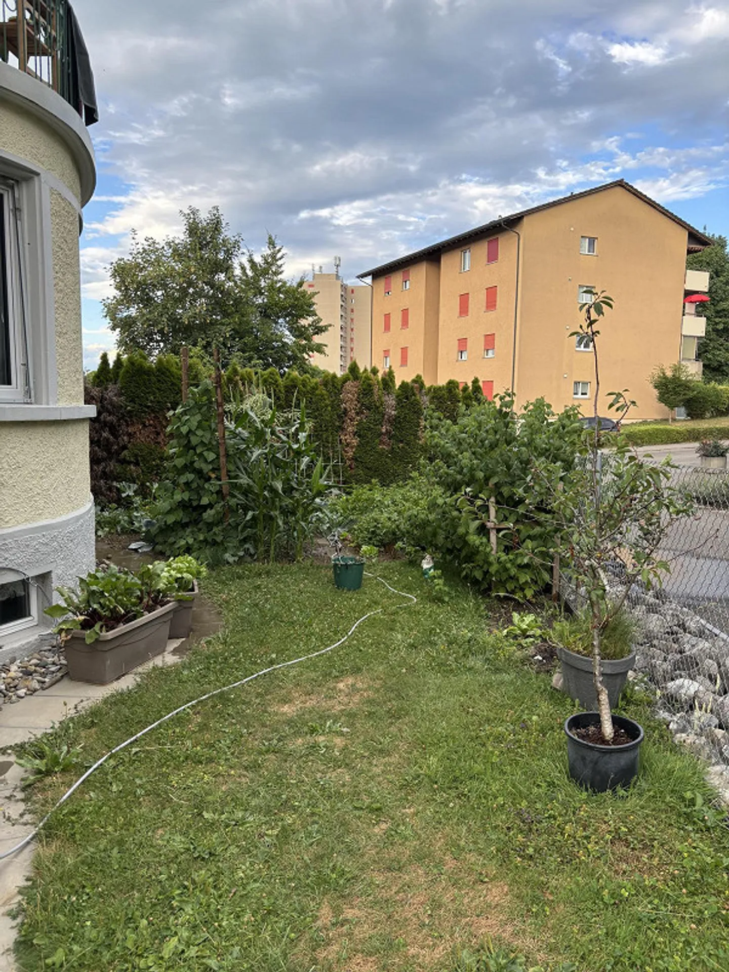 Appartamento 5.5 locali ad Amriswil incluso 1 posto auto - Foto 2 di 7