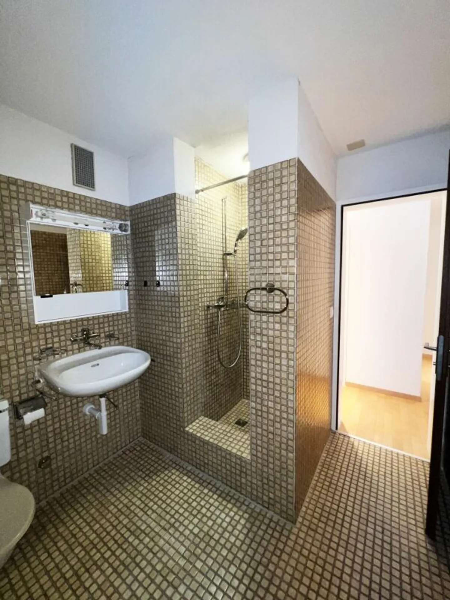 Spacious 6½-Room Apartment - Photo 8 of 9