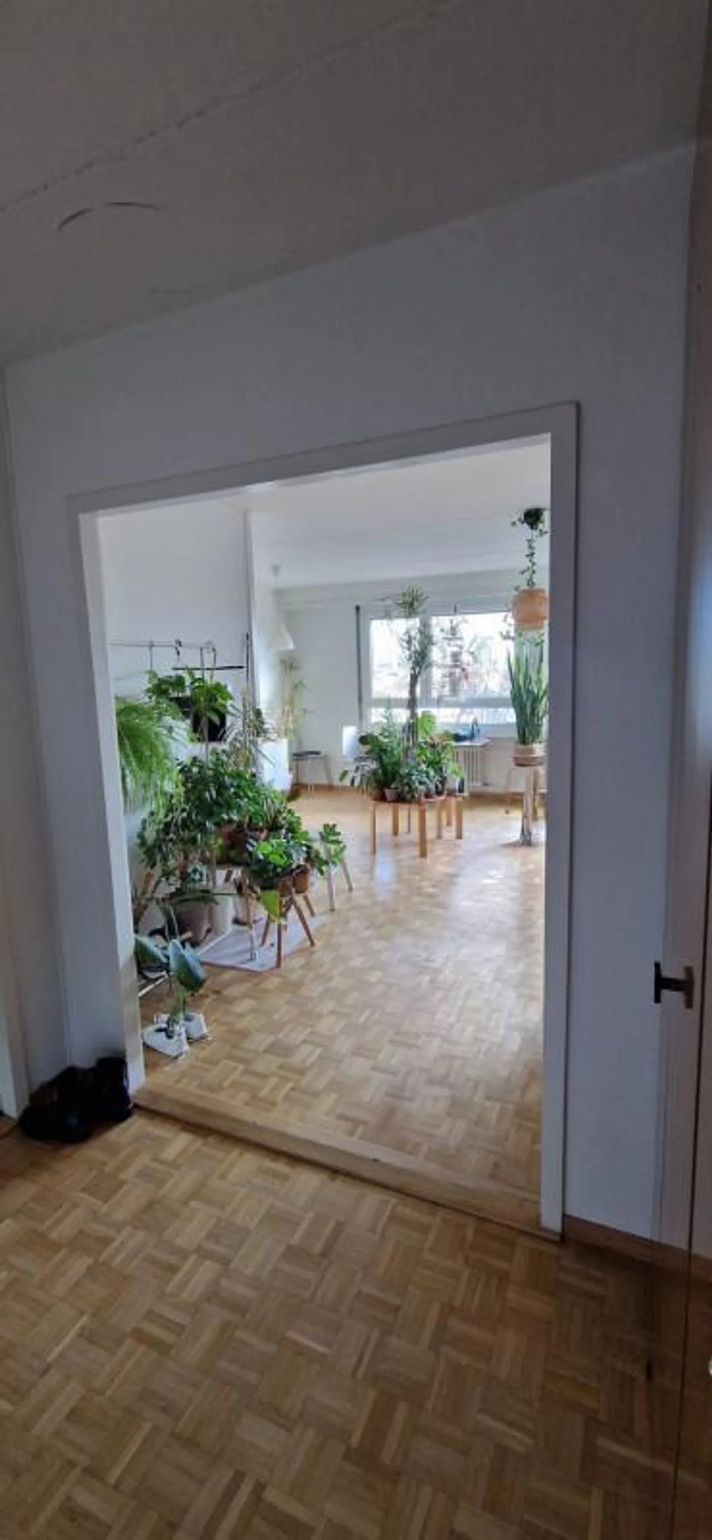 Appartement de 3 pièces au 2ème étage situé à Petit-Lancy 1213 - Photo 4 sur 8