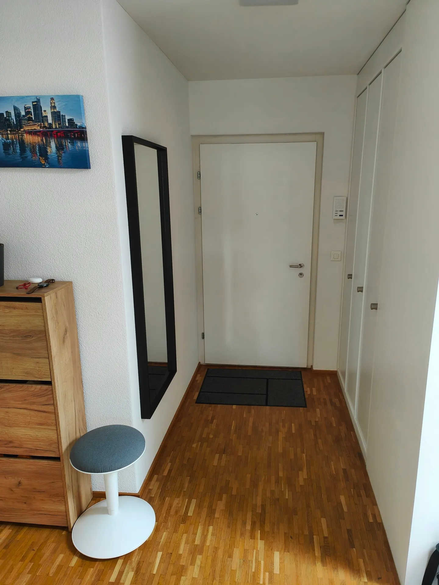 APPARTAMENTO 2½ STANZE A LUCERNA, ARREDATO, TEMPORANEO - Foto 5 di 10