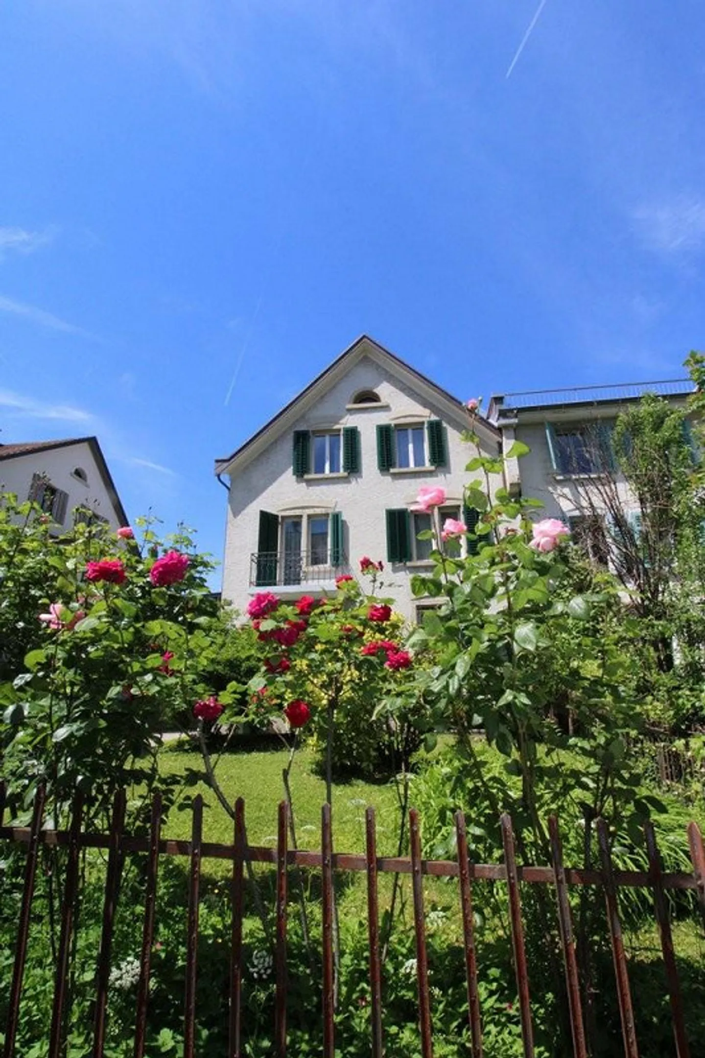 Do you love uniqueness? Then you've come to the right place! - Photo 2 of 11