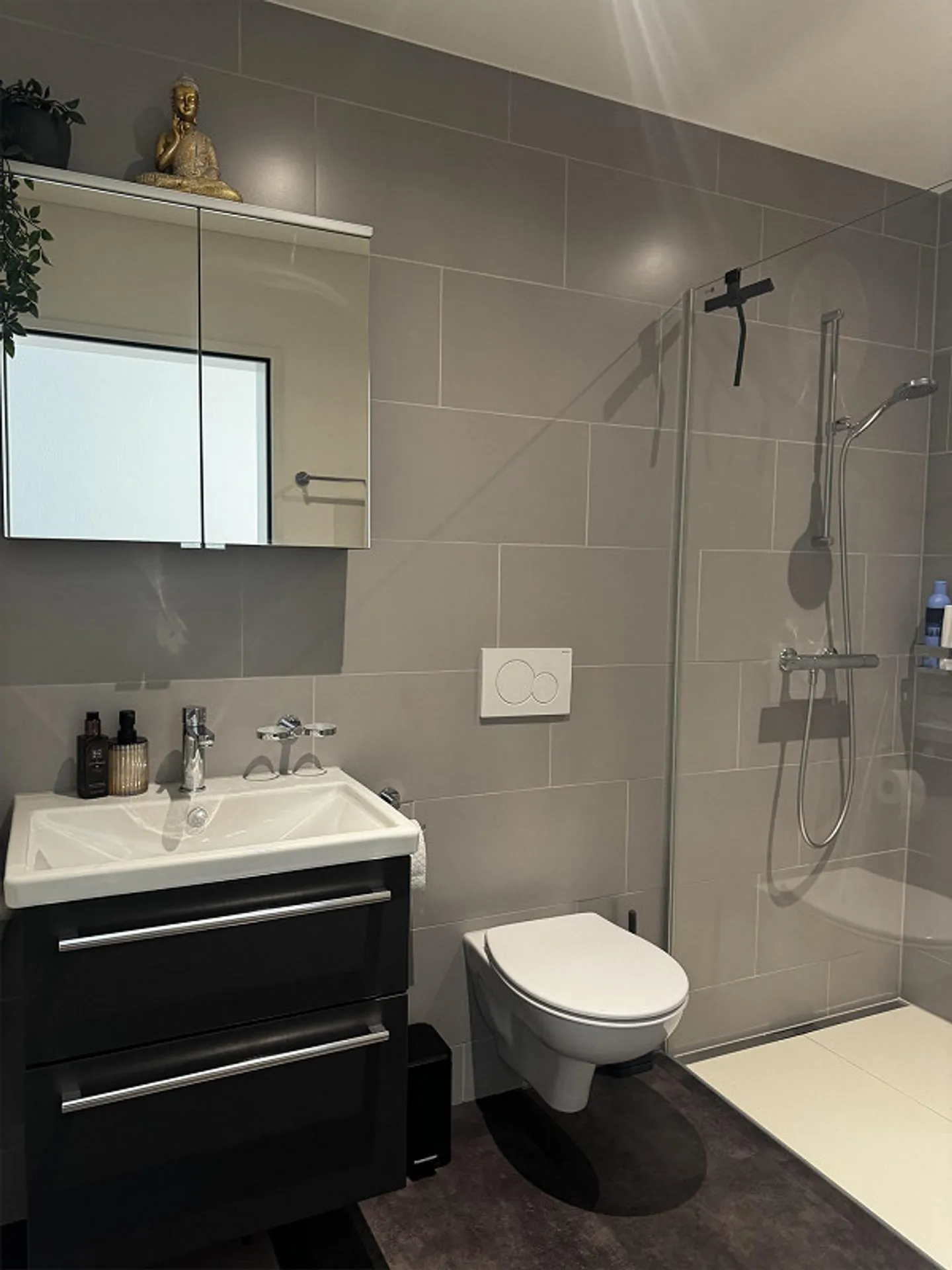 Moderno appartamento giardino 2.5 camere (80 m²) con balcone e lavatrice privata - Foto 6 di 7