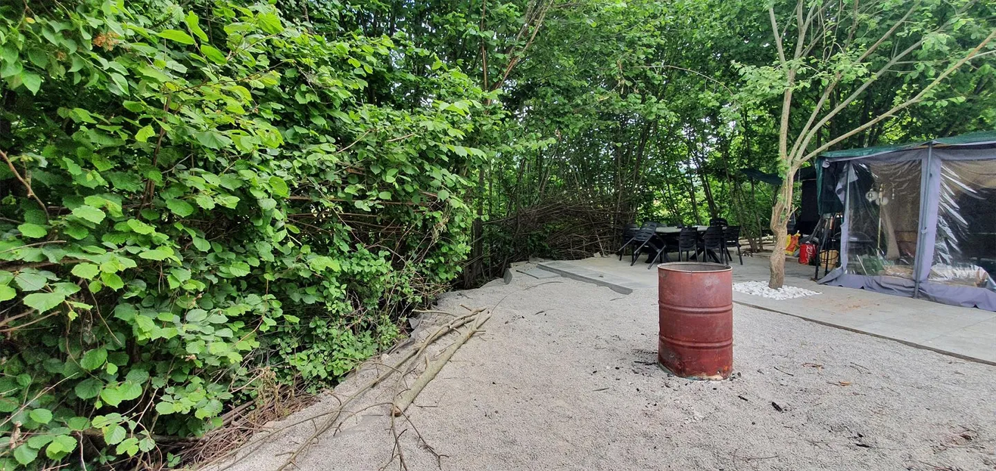 Appartamento di 4.5 locali con ampio giardino condominiale - Foto 8 di 8