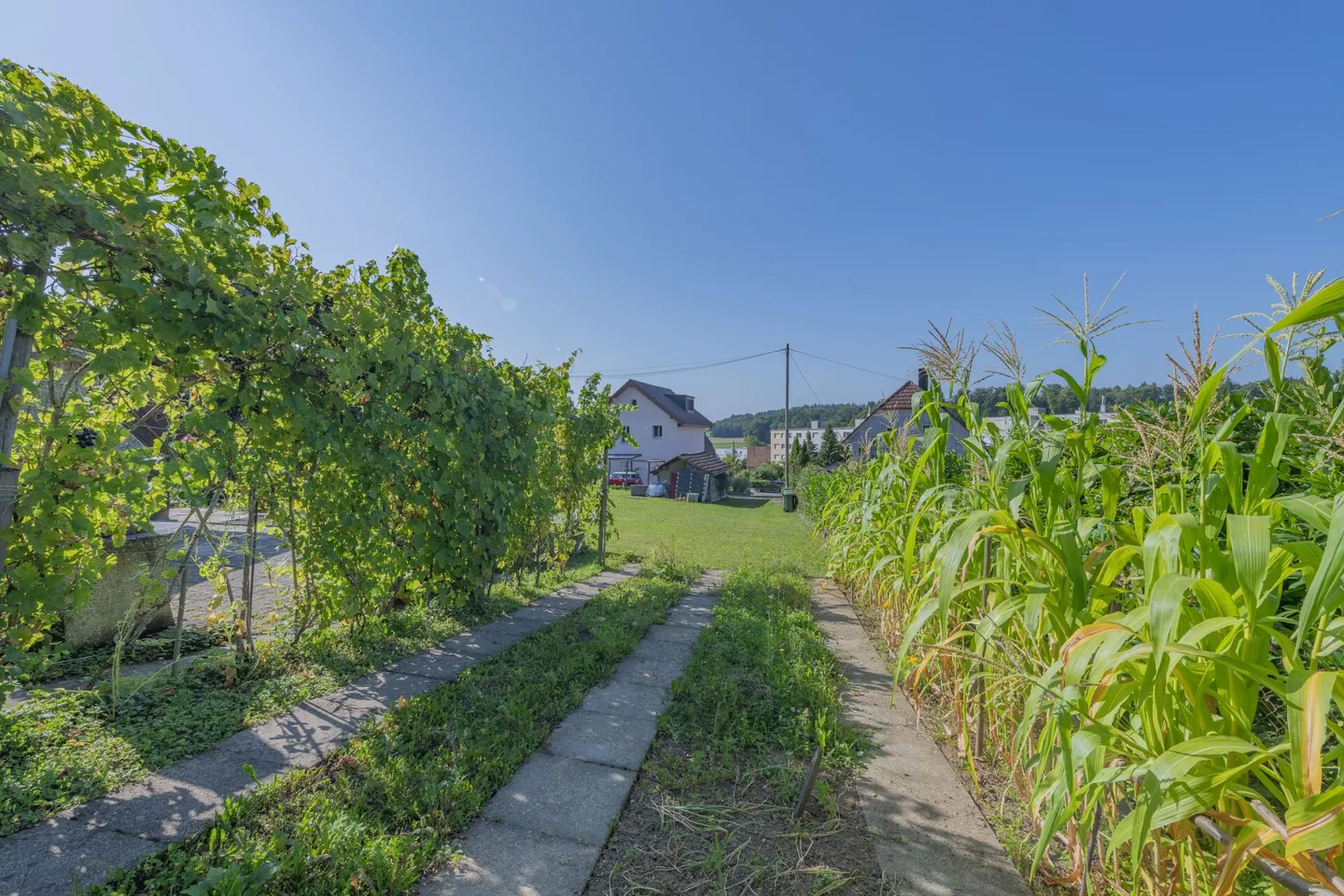 GRANDE IMMOBILIER - Terrain à bâtir avec nouveau projet approuvé à Orpund - Photo 10 sur 16