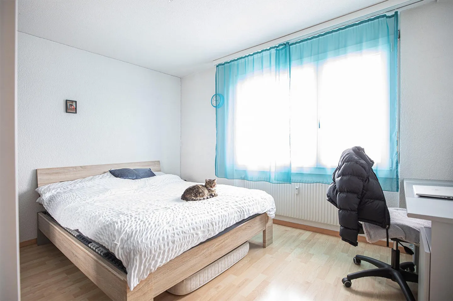 originelle 5.5-Zimmerwohnung in Belp - Foto 5 von 8