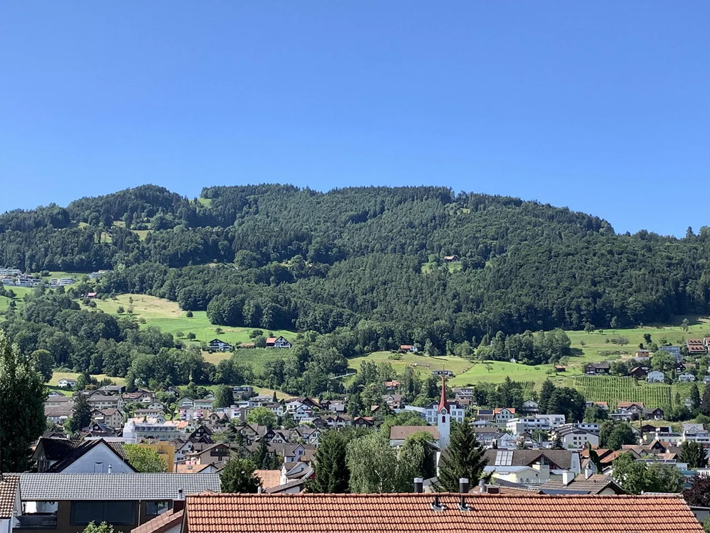 Magnifique appartement sous les combles de 3,5 pièces à Rebstein - Photo 2 sur 12