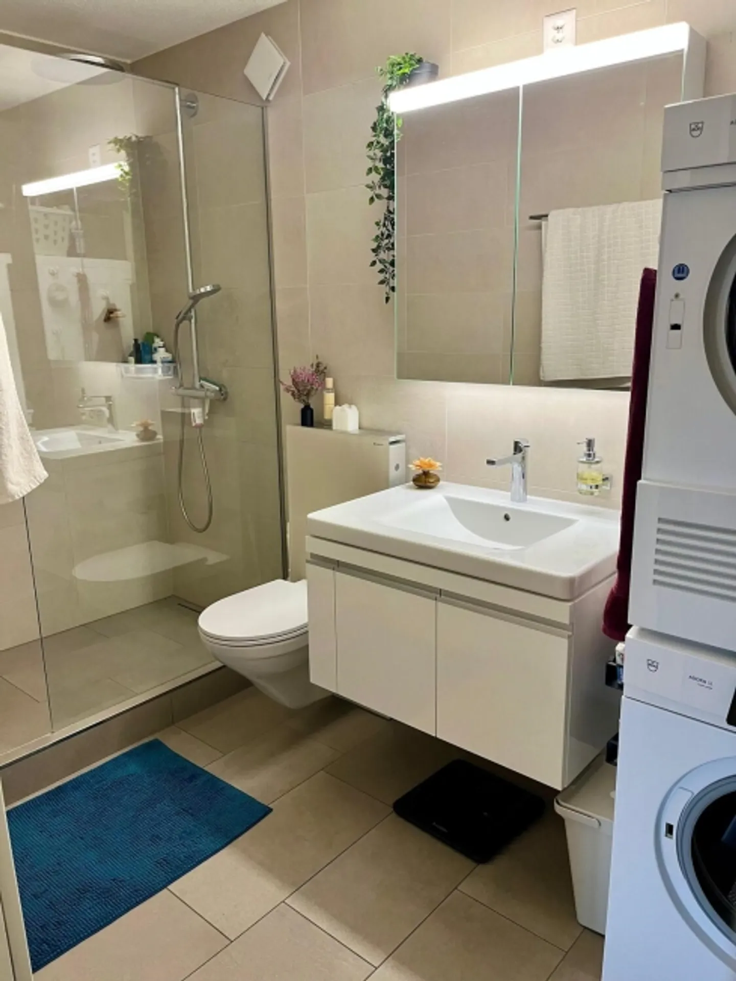 3½ ROOM APARTMENT IN LUCERNE, FURNISHED, TEMPORARY - Photo 6 of 10