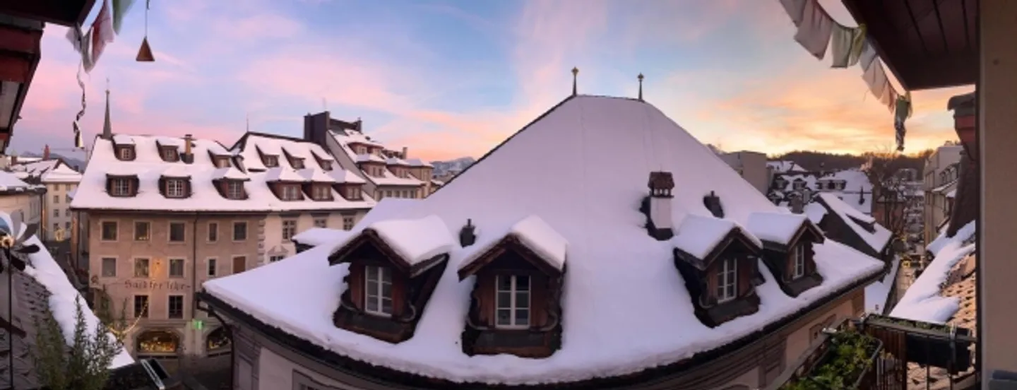 3½ ROOM APARTMENT IN LUCERNE, FURNISHED, TEMPORARY - Photo 10 of 10