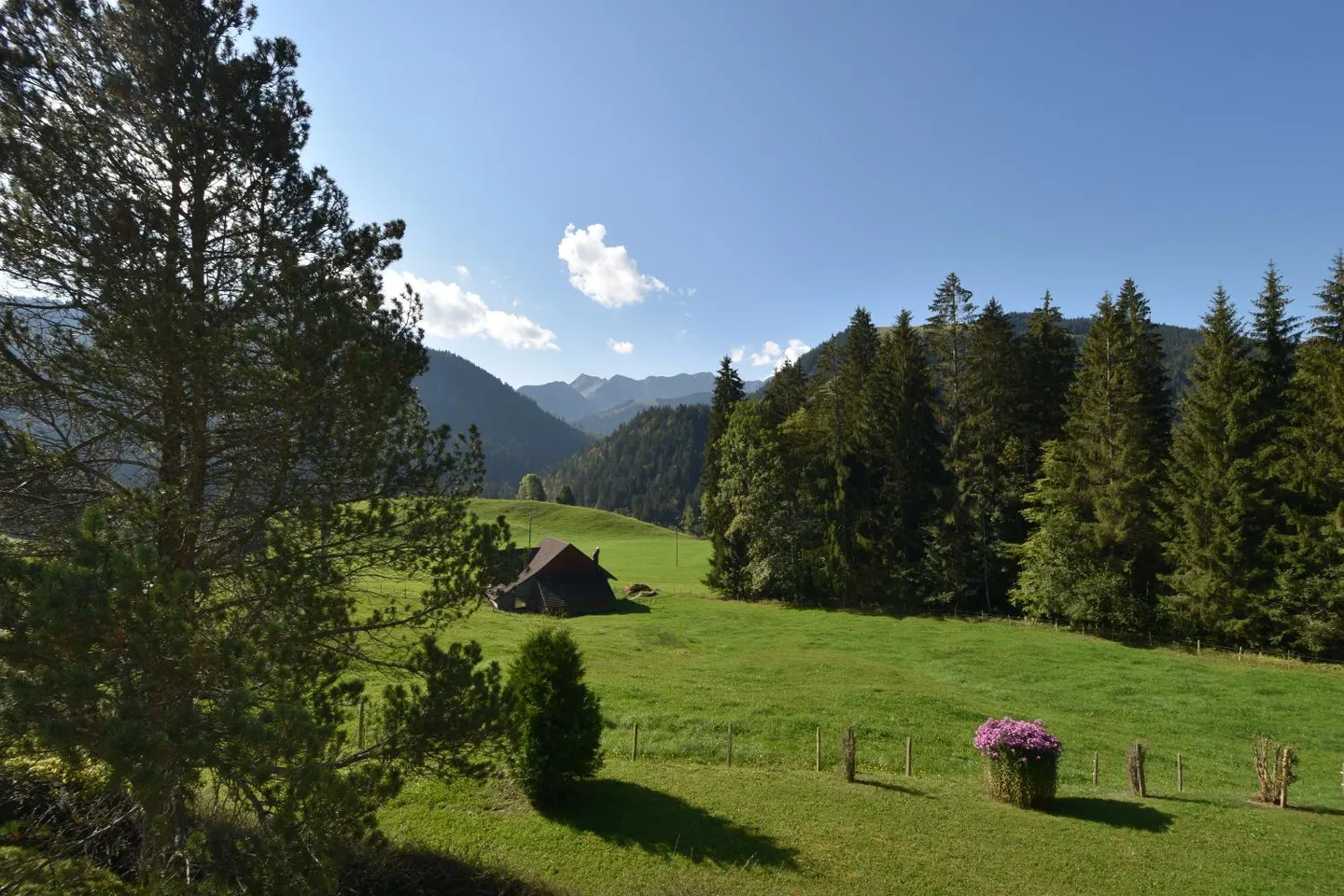 Votre oasis de calme - magnifique appartement en milieu rural ! - Photo 2 sur 9